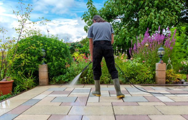 Best Roof Cleaning and Mildew Removal in Laramie, WY